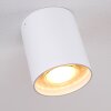 AWUNA Ceiling Light white, 1-light source