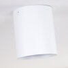 AWUNA Ceiling Light white, 1-light source