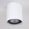 AWUNA Ceiling Light white, 1-light source
