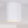 AWUNA Ceiling Light white, 1-light source