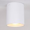 AWUNA Ceiling Light white, 1-light source
