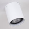 AWUNA Ceiling Light white, 1-light source