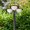 THEUX outdoor floor lamp gold, black, 3-light sources