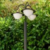 THEUX outdoor floor lamp gold, black, 3-light sources