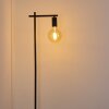 Pamunkey Floor Lamp black, 1-light source