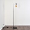 Pamunkey Floor Lamp black, 1-light source