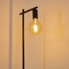 Pamunkey Floor Lamp black, 1-light source
