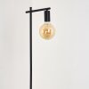 Pamunkey Floor Lamp black, 1-light source