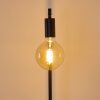 Pamunkey Floor Lamp black, 1-light source