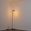 Pamunkey Floor Lamp black, 1-light source