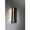 Wall Light Trio Leuchten CONCHA LED anthracite, 2-light sources