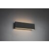 Wall Light Trio Leuchten CONCHA LED anthracite, 2-light sources