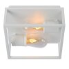 Ceiling Light Lucide CARLYN white, 2-light sources