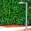 GAKONA Path Light LED grey, 1-light source