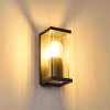 Outdoor Wall Light Skeldegaard black, 1-light source