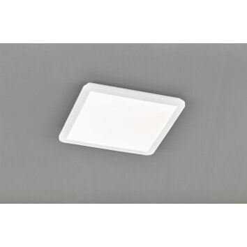 Reality CAMILLUS Ceiling light LED white, 1-light source
