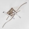 MAPLETON Ceiling light LED matt nickel, 4-light sources