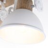 Steinhauer GEARWOOD spotlight white, 2-light sources