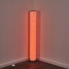 TUMBA Floor Lamp LED white, 1-light source, Remote control, Colour changer