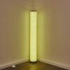 TUMBA Floor Lamp LED white, 1-light source, Remote control, Colour changer