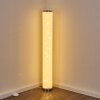 TUMBA Floor Lamp LED white, 1-light source, Remote control, Colour changer