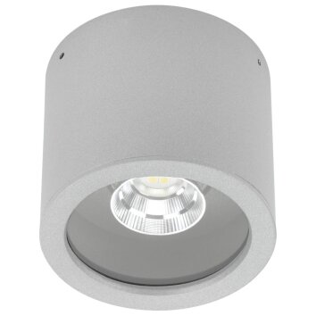 Albert 2319 Ceiling Light LED silver, 1-light source