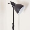 TIMOLA Floor Lamp black, white, 1-light source
