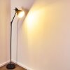 TIMOLA Floor Lamp black, white, 1-light source