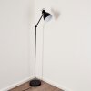 TIMOLA Floor Lamp black, white, 1-light source