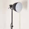 TIMOLA Floor Lamp black, white, 1-light source