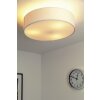 Trio 3033 ceiling light matt nickel, 3-light sources