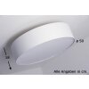 Trio 3033 ceiling light matt nickel, 3-light sources
