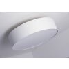 Trio 3033 ceiling light matt nickel, 3-light sources