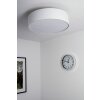 Trio 3033 ceiling light matt nickel, 3-light sources