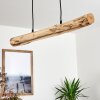 WINTERTHUR Pendant Light LED Light wood, black, 1-light source