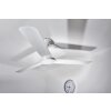 Globo FERRO fan white