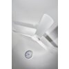 Globo FERRO fan white