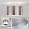 BARABOO Ceiling Light LED matt nickel, 2-light sources