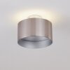 BARABOO Ceiling Light LED matt nickel, 2-light sources