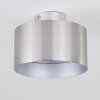 BARABOO Ceiling Light LED matt nickel, 2-light sources