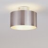 BARABOO Ceiling Light LED matt nickel, 2-light sources