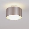 BARABOO Ceiling Light LED matt nickel, 2-light sources