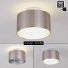 BARABOO Ceiling Light LED matt nickel, 2-light sources
