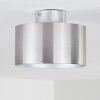 BARABOO Ceiling Light LED matt nickel, 2-light sources