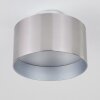 BARABOO Ceiling Light LED matt nickel, 2-light sources