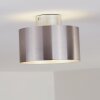 BARABOO Ceiling Light LED matt nickel, 2-light sources