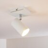ZUOZ Ceiling Light white, 1-light source