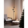 Trio DAKOTA Floor Lamp black, 3-light sources
