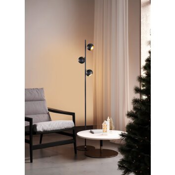 Trio DAKOTA Floor Lamp black, 3-light sources