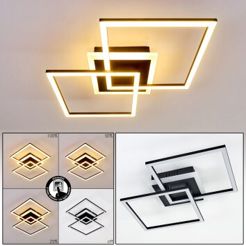 Lithgow Ceiling Light LED black, 1-light source